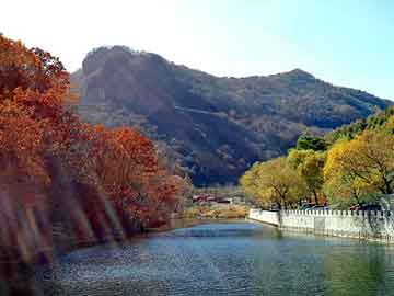 管家婆一肖一碼100澳門150期 16-23-28-44-47-49E：13,探索彩票奧秘，管家婆一肖一碼與澳門彩票期數(shù)解析